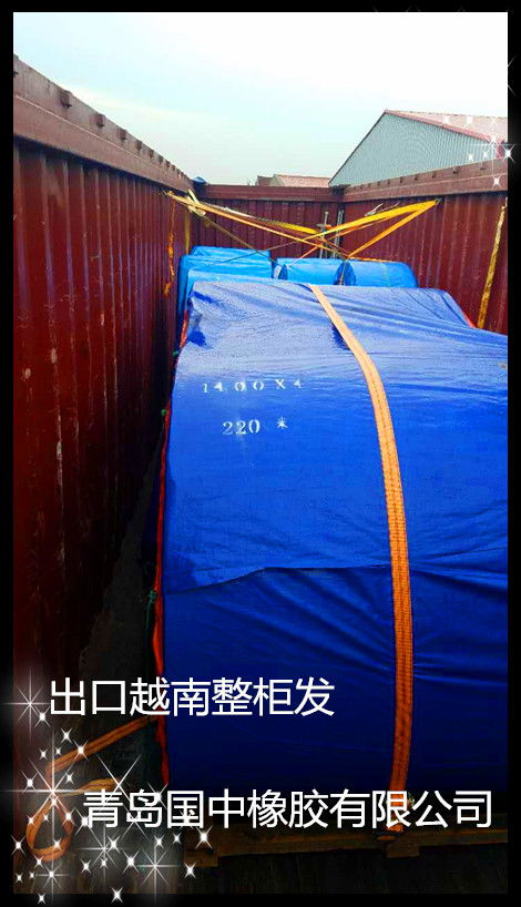 江苏钢丝绳提升带生产厂 青岛国中运输带 图